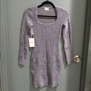 Aritzia Sunday Best Montgomery Dress